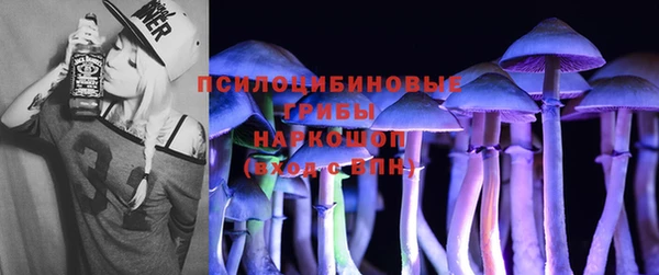 гидра Магас