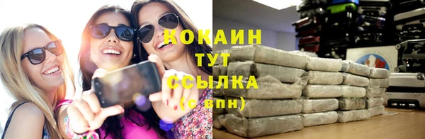 гидра Магас