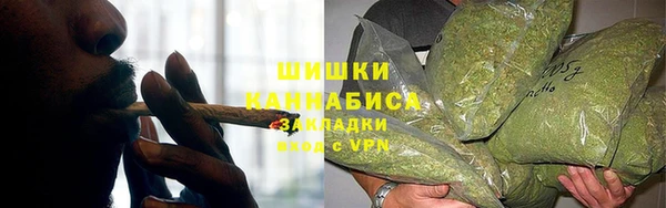 гидра Магас