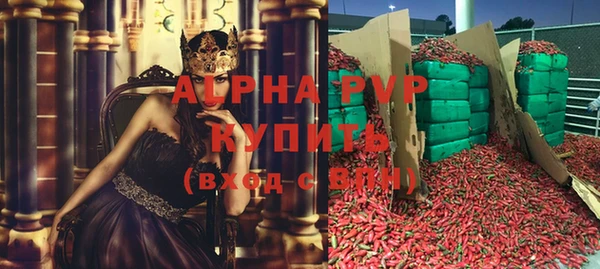 гидра Магас