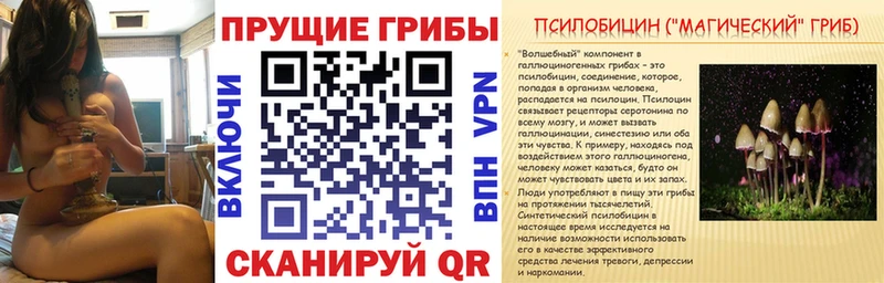 ОМГ ОМГ как зайти  Шацк  Псилоцибиновые грибы Magic Shrooms 